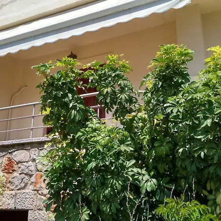 Vagionia Apartment *